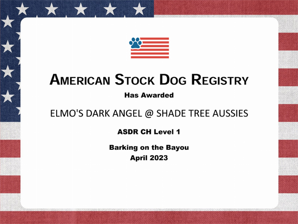 Elmo's Dark Angel @ Shade Tree Aussies ASDR Championships Title Elmo's Dark Angel @ Shade Tree Aussies ASDR Championships Title