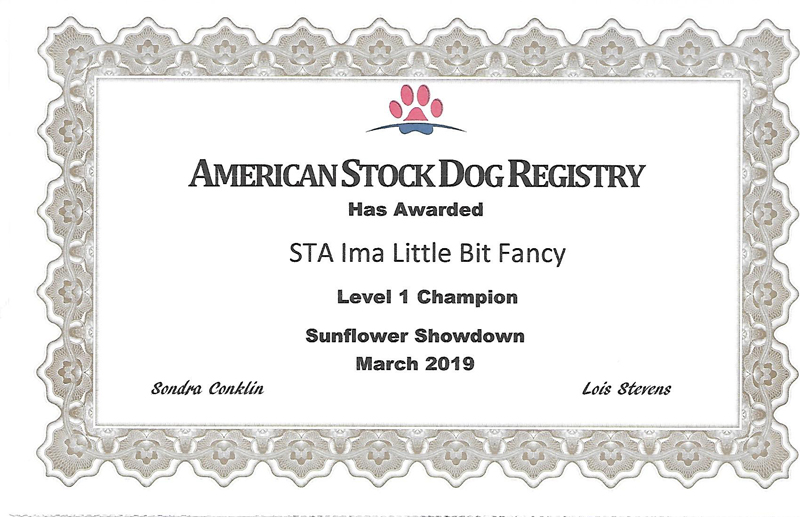 STA Sheza Little Bit Fancy ASDR Level 1 Championship certificate. STA Sheza Little Bit Fancy ASDR Level 1 Championship certificate.