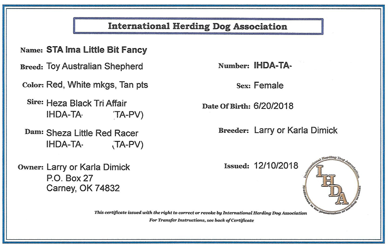 STA Ima Little Bit Fancy's IHDA registration certificate. STA Ima Little Bit Fancy's IHDA registration certificate.