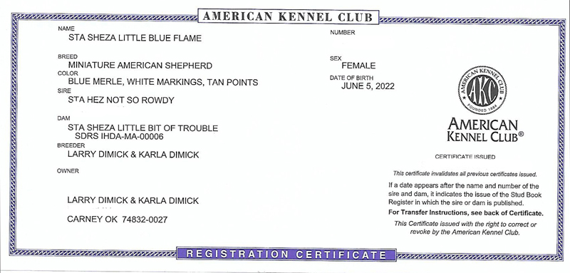 AKC Registration for Sheza Little Blue Flame.