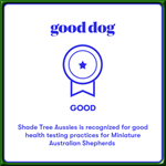 Good dog breeder badge for good health texting practices. Good dog breeder badge for good health texting practices.