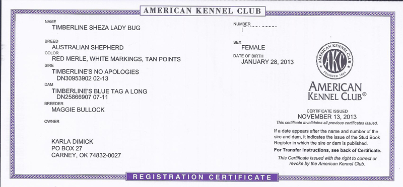 Lady's Bug AKC Registration Lady's Bug AKC Registration