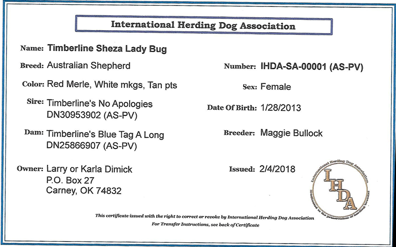 Lady Bug is registered with International Herding Dog Association as well. Lady Bug is registered with International Herding Dog Association as well.