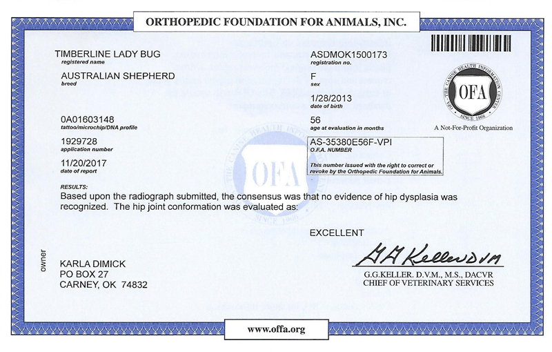 Bug's OFA score was excellent. Bug's OFA score was excellent.