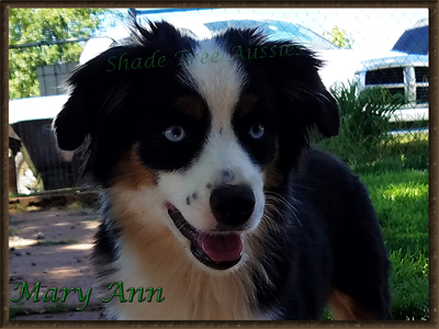 Mary Ann showing off her pretty blue eyes and freckles. Mary Ann showing off her pretty blue eyes and freckles.