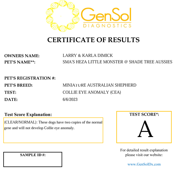 SMA Heza Little Monster @ Shade Tree Aussies CEA test results. SMA Heza Little Monster @ Shade Tree Aussies CEA test results.