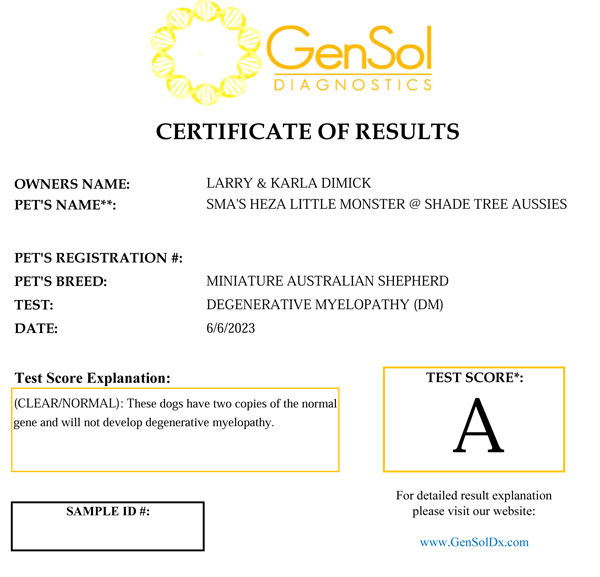 SMA Heza Little Monster @ Shade Tree Aussies DM test results. SMA Heza Little Monster @ Shade Tree Aussies DM test results.