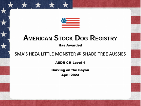 SMA's Heza Little Monster @ Shade Tree Aussies ASDR Champion Certificate SMA's Heza Little Monster @ Shade Tree Aussies ASDR Champion Certificate