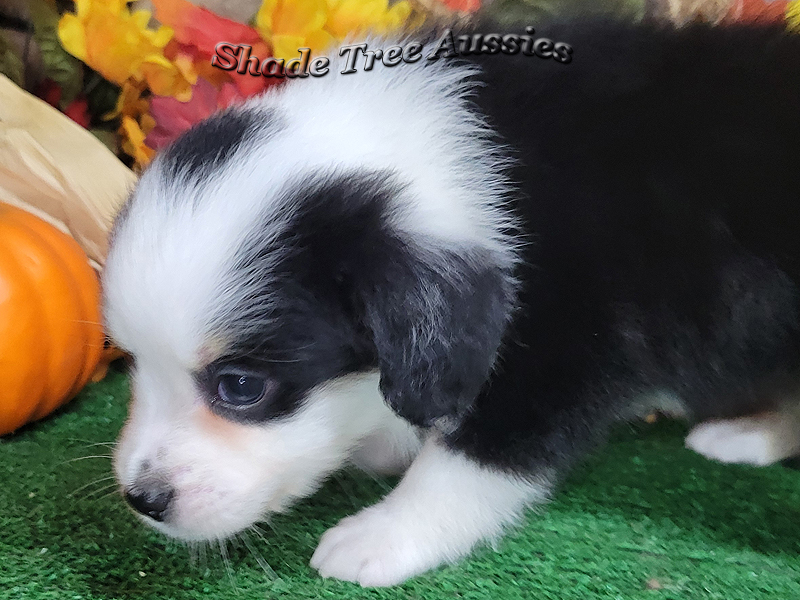 This little girl loves her treats. This little girl loves her treats.