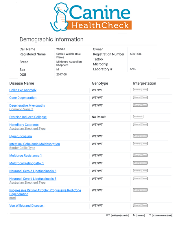 Widdle's testing from Paw Prints Genetics.