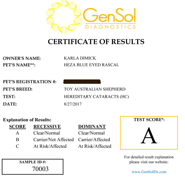 Rascal's testing for HC = Hereditary Cataracts Rascal's testing for HC = Hereditary Cataracts