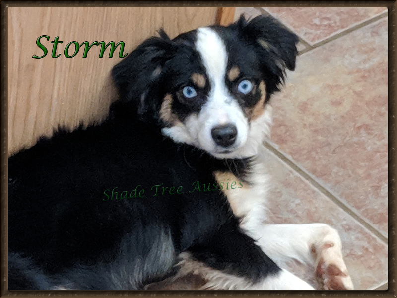 Storm has a really good "off switch" and know how to relax and enjoy life too. Storm has a really good "off switch" and know how to relax and enjoy life too.
